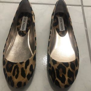 Nwot Steve Madden leopard ballet flat